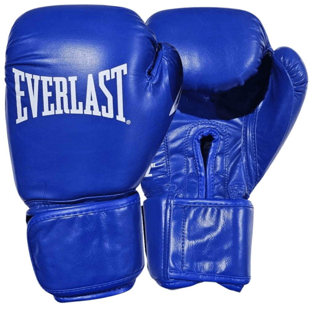 Everlast Amateur Comp Fight Gloves Blue – MMA Fight Store