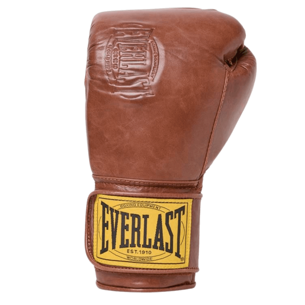 Everlast 1910 Pro Boxing Gloves Brown – MMA Fight Store