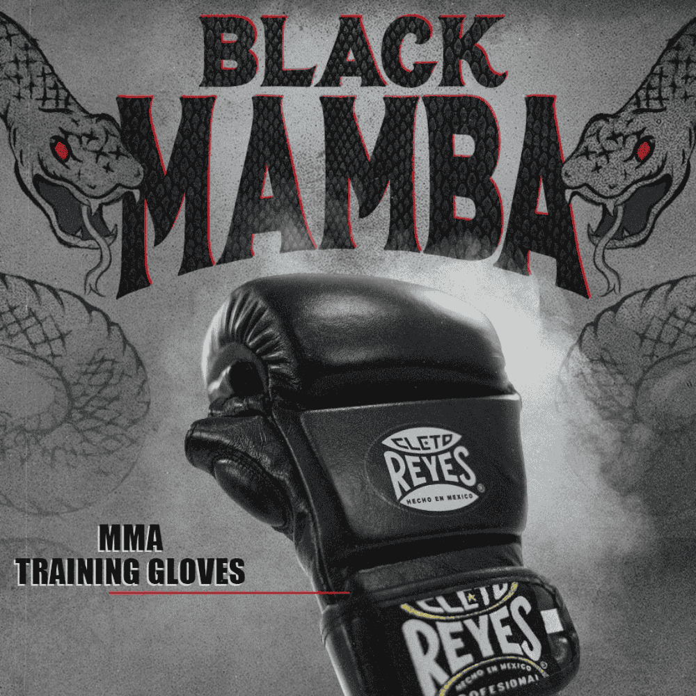 Cleto Reyes Black Mamba MMA Training Gloves – MMA Fight Store