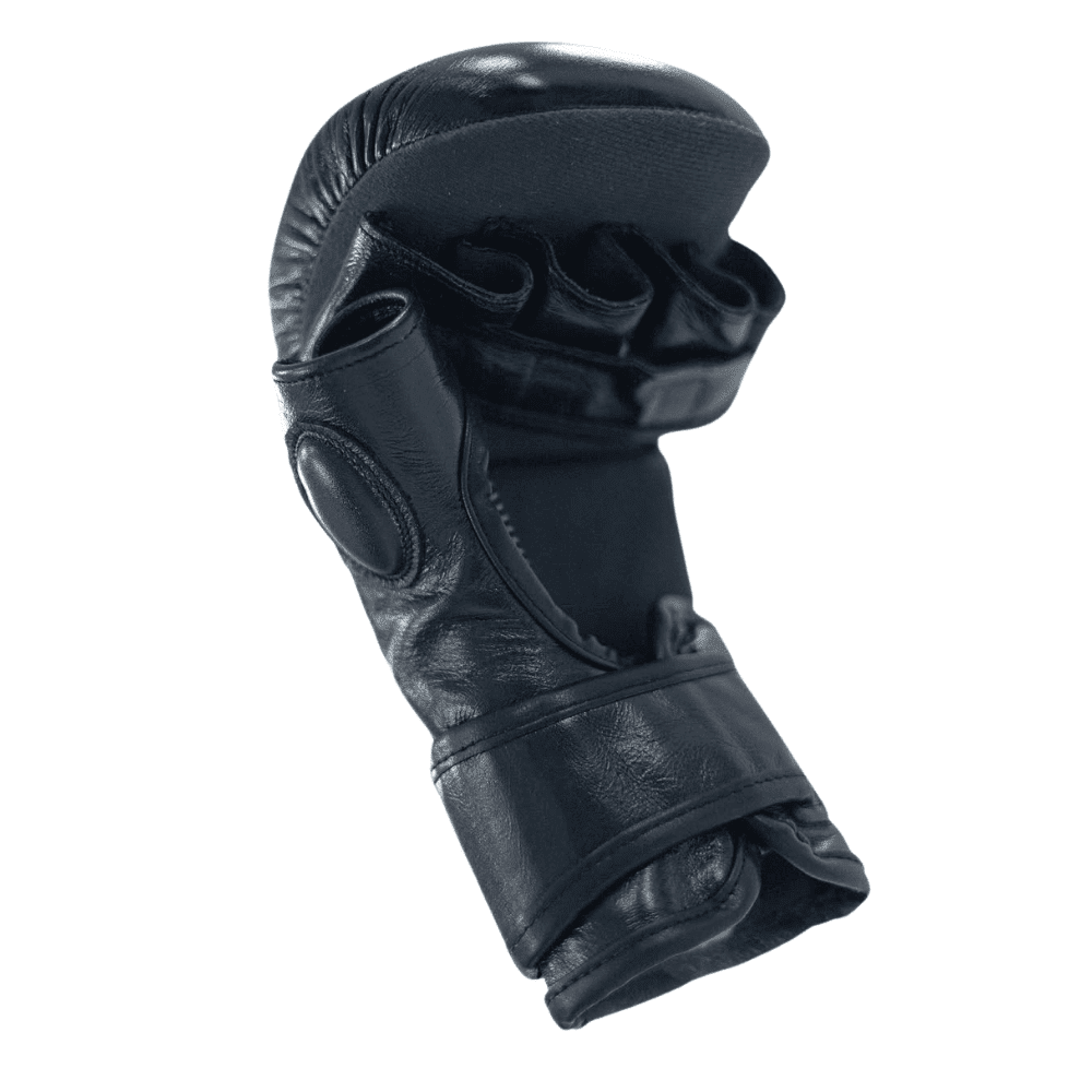 Cleto Reyes Black Mamba MMA Training Gloves – MMA Fight Store