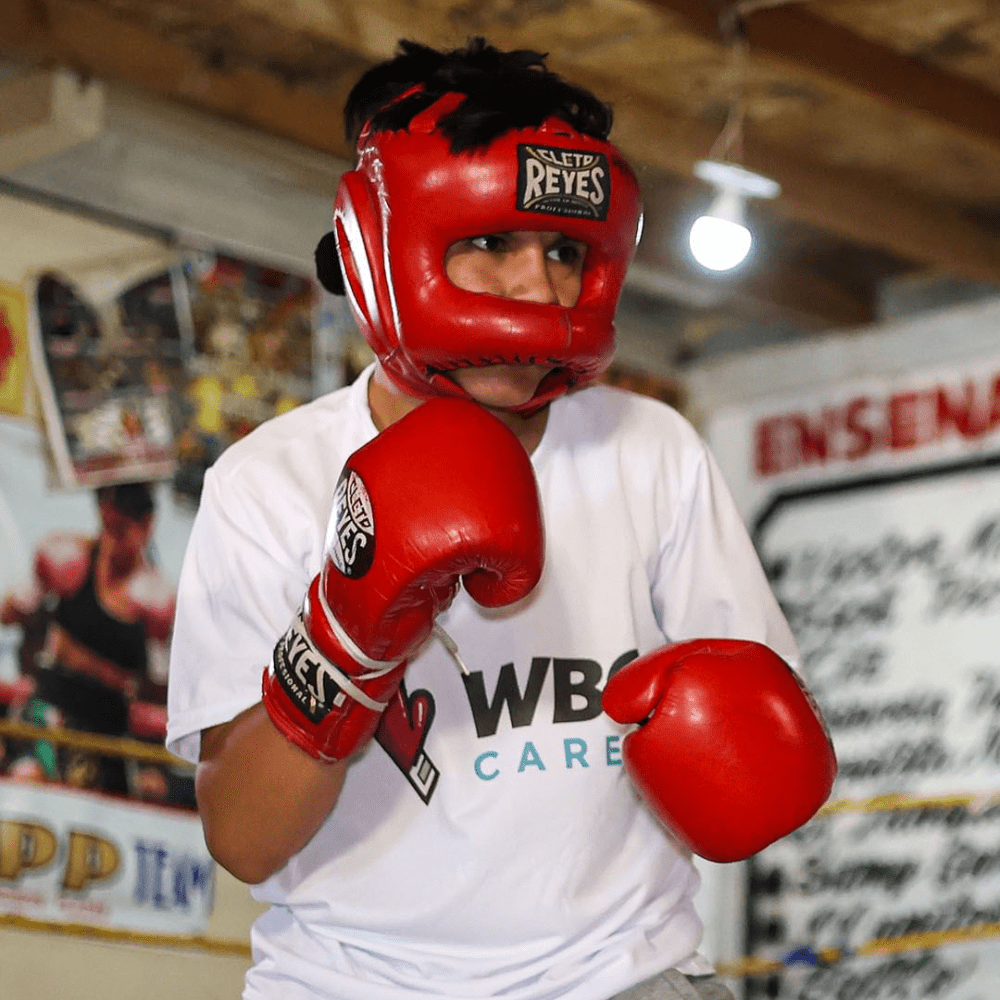 Cleto Reyes Traditional Head Gear with Nylon Face Bar Silver – MMA