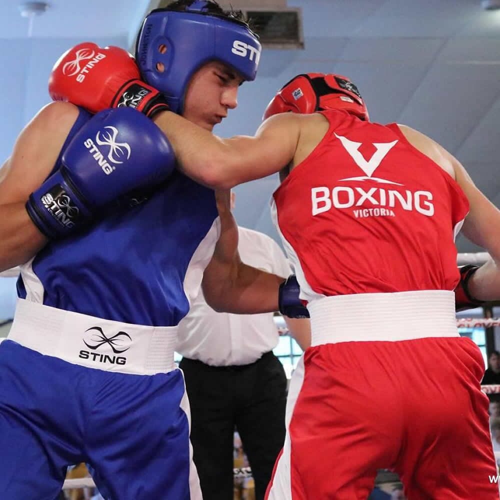 Sting Competition Leather Boxing Gloves (AIBA Approved) MMA Fight Store