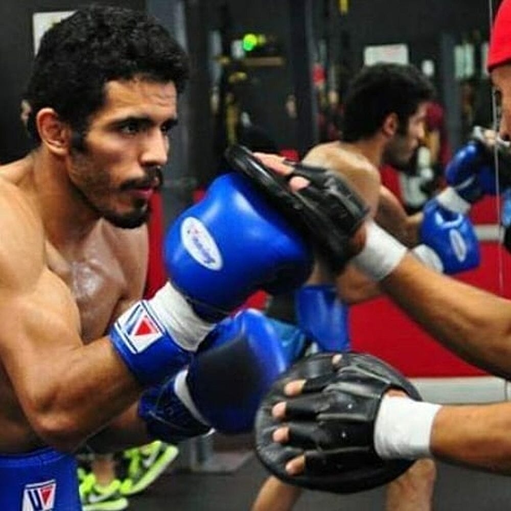 Winning CM-5 Small Oval Punch Mitt Focus Mitts Winning