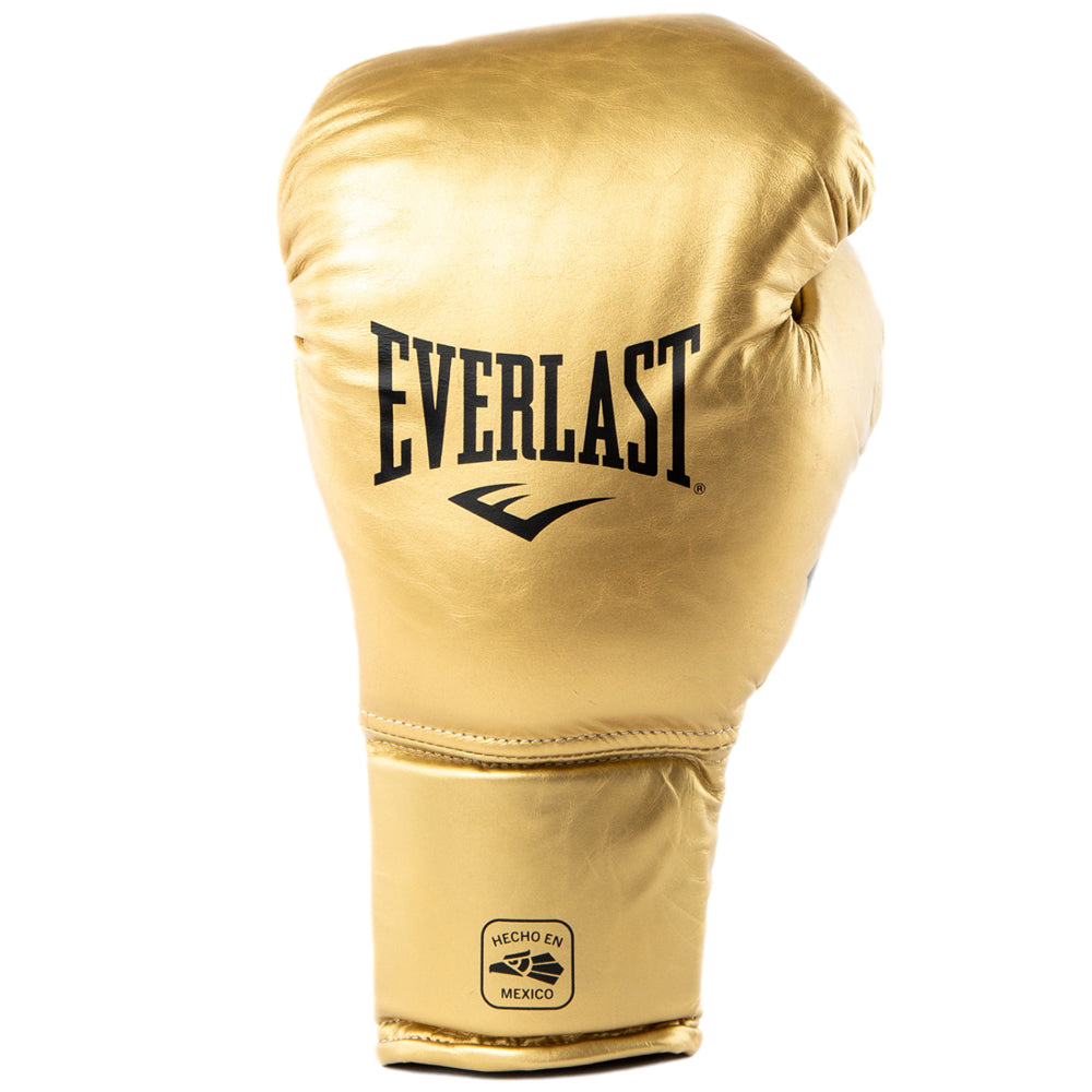 Everlast Mx2 Pro Training Lace Up Gloves (limited edition)