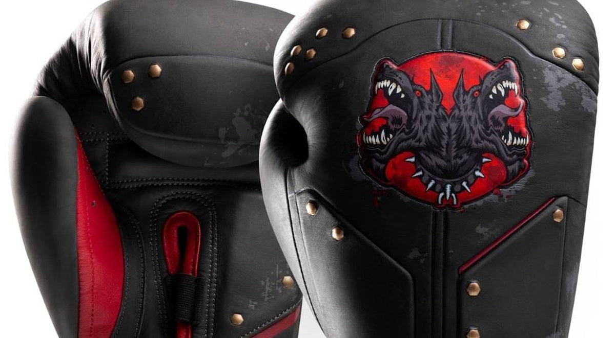 Fight gear gift guide - boxing gloves