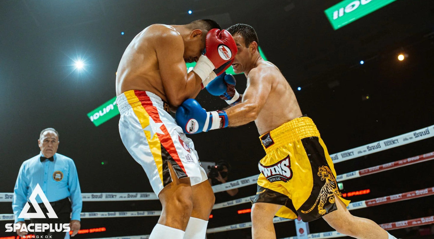 Twins Muay Thai Gloves Buyer's Guide: BGVL-3 & Beyond (2026)