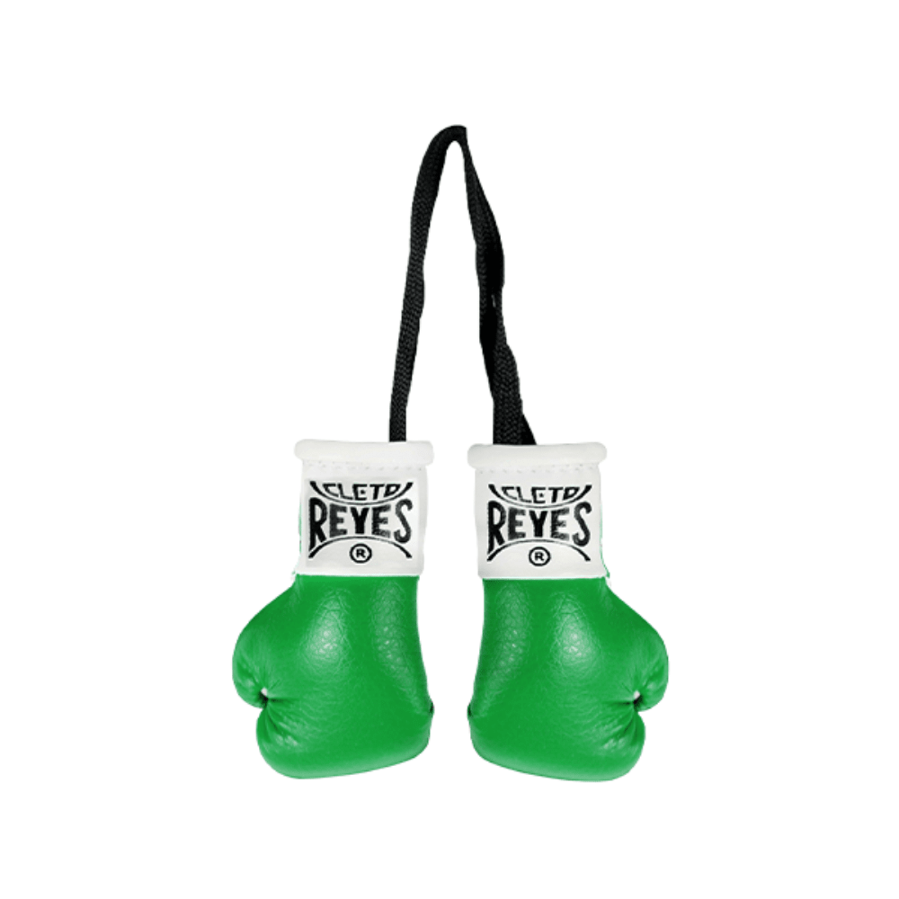 Cleto Reyes Mini Glove Pair Boxing Gloves Cleto Reyes Green 