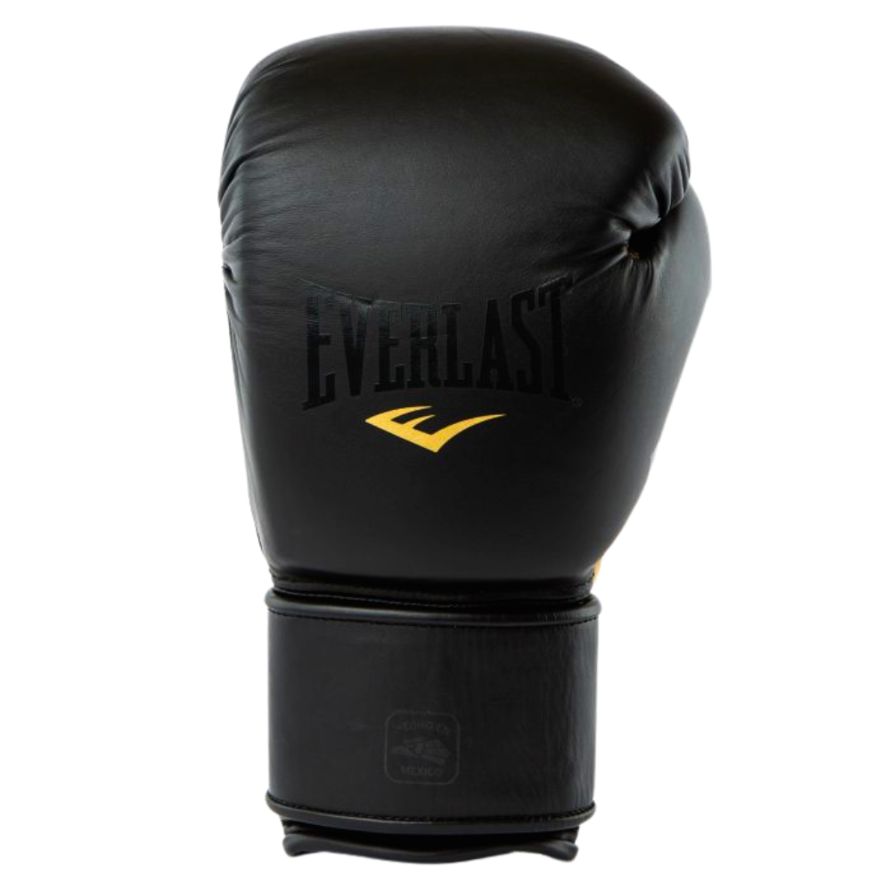 Everlast Mx2 Training Gloves – MMA Fight Store