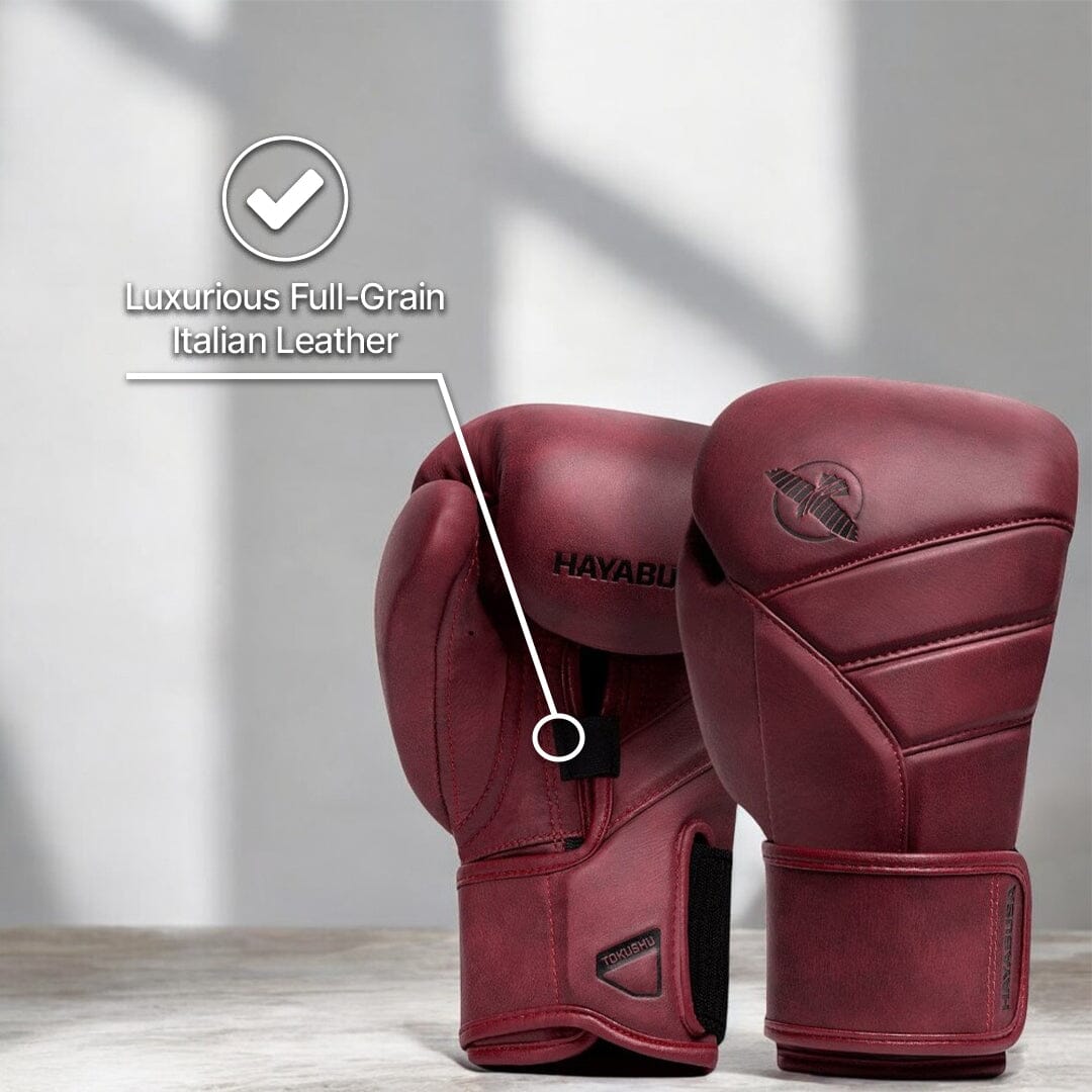Hayabusa T3 LX Boxing Gloves