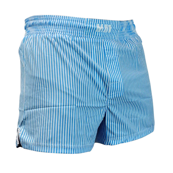 Load image into Gallery viewer, MA1 Blue and White Pinstripe MMA Shorts
