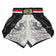 SKS Art of Tiger Muay Thai Shorts Muay Thai Shorts SKS 