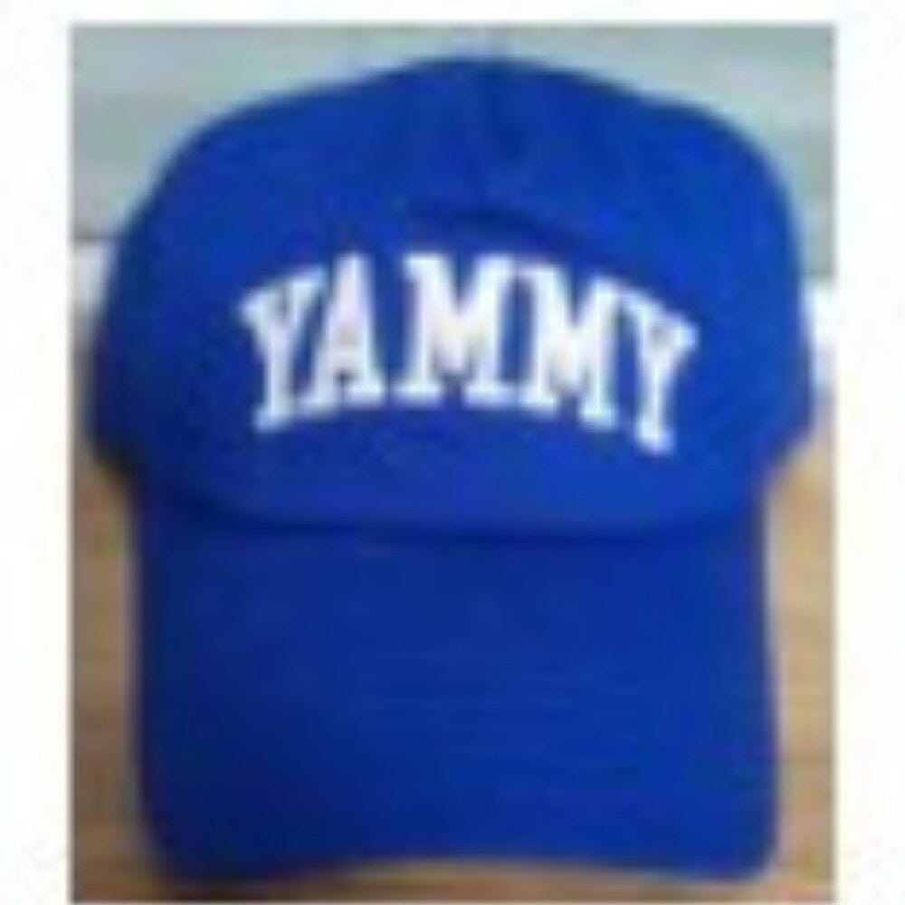 YAMMY Mayhem Snapback Cap Blue/White Hats YAMMY 