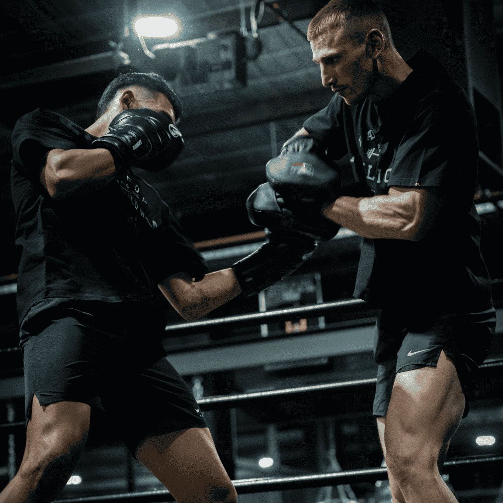 Bad Boy Pro Series Advanced Mini Focus Mitts Focus Mitts Bad Boy 