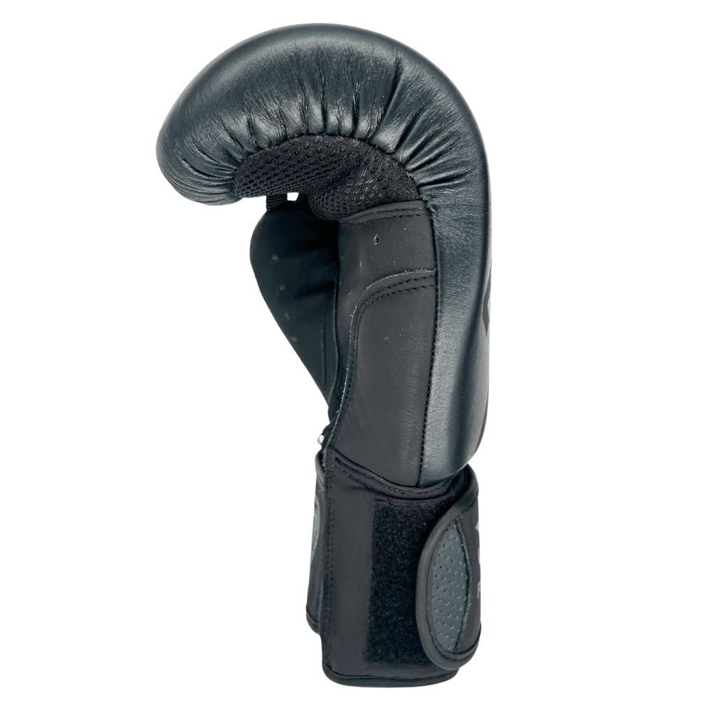 Bad Boy Pro Series Advanced Thai Gloves Muay Thai Gloves Bad Boy 