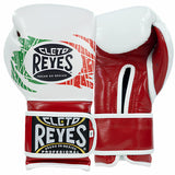 Cleto Reyes Mexican Flag Training Boxing Gloves White