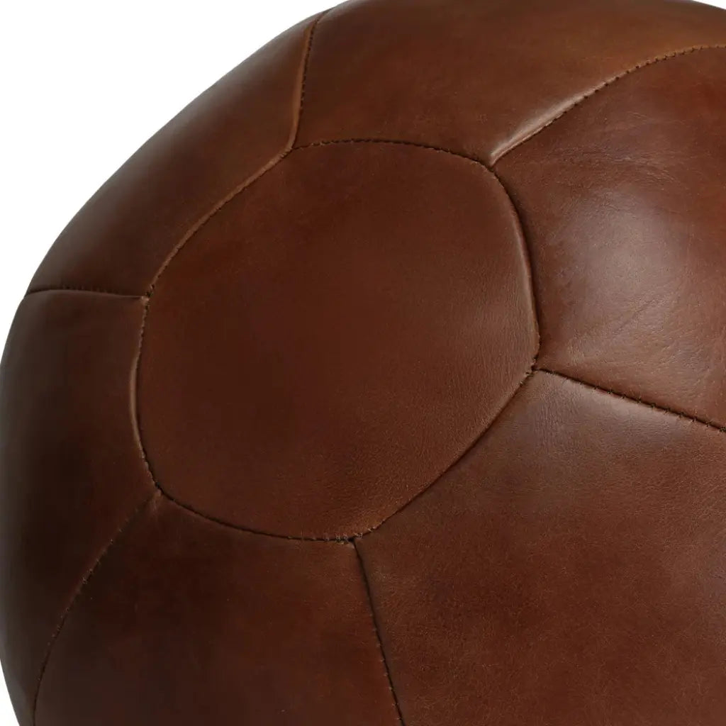 Everlast 1910 Pro Leather Wrecking Bag Vintage Brown — view 4