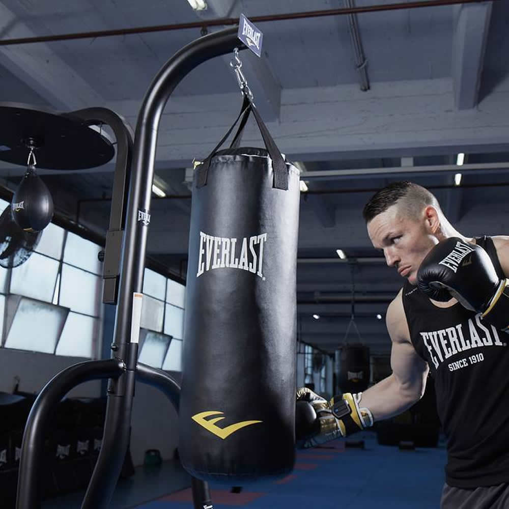 Everlast Heavy Bag and Speed Ball Stand