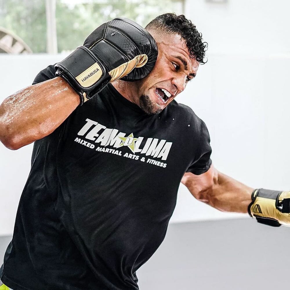 Hayabusa T3 18oz Boxing Gloves Boxing Gloves Hayabusa 