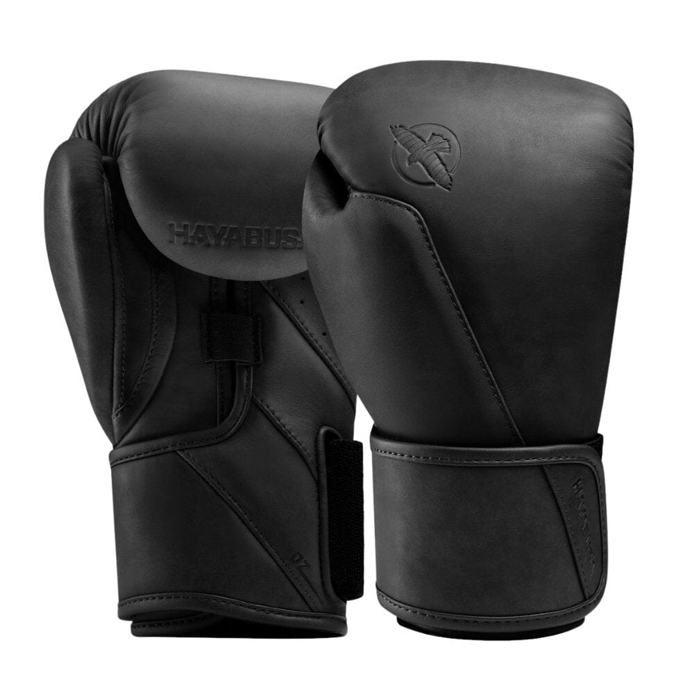 Hayabusa T360 Leather Boxing Gloves Black Boxing Gloves Hayabusa Black 12oz 