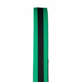 Tatami IBJJF Kids Rank Belt With Black Stripe Green