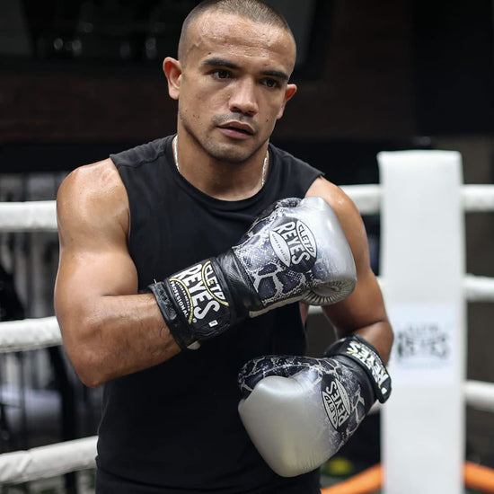 Cleto Reyes Steel Snake Training Boxing Gloves – MMA Fight Store