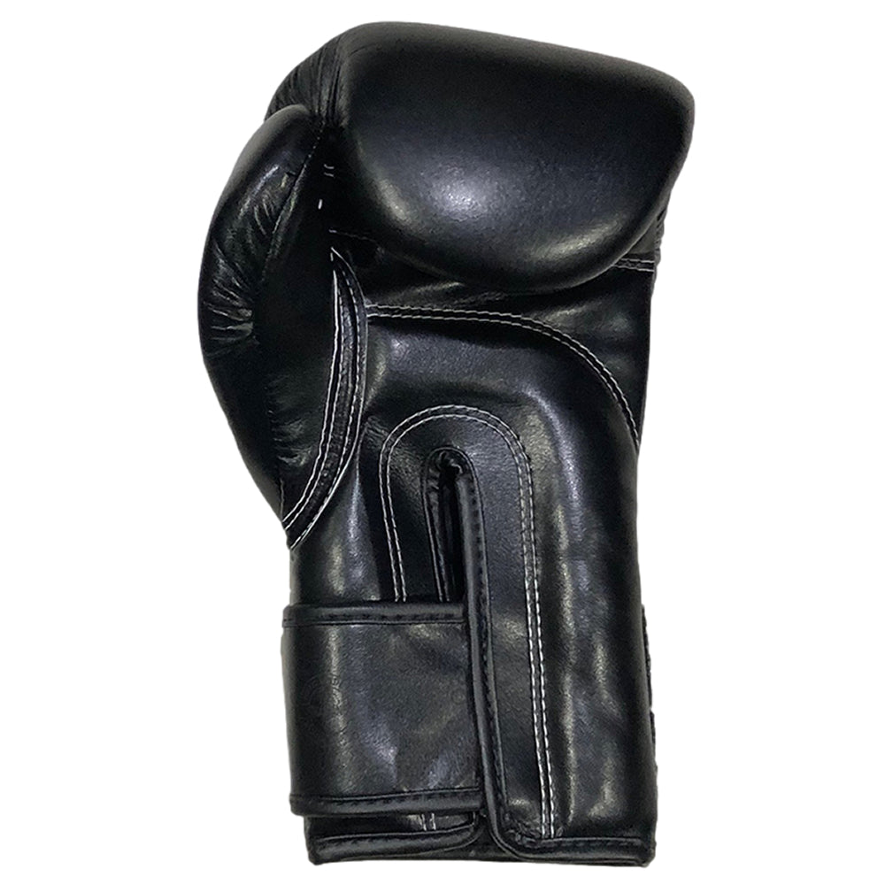 Fairtex BGV14 Muay Thai Gloves Black/Black Inner