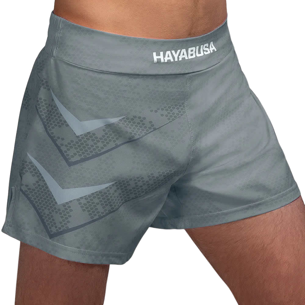 Load image into Gallery viewer, Hayabusa Arrow Kickboxing Shorts Grey Front
