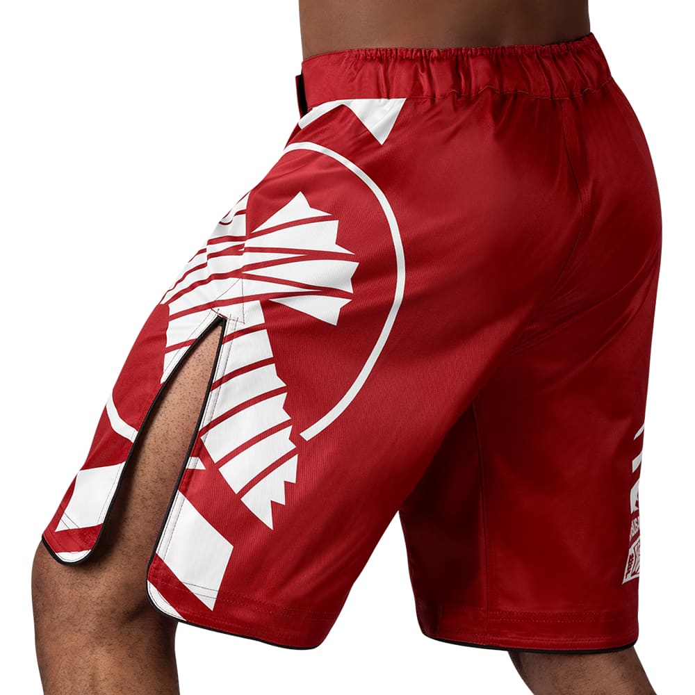 Load image into Gallery viewer, Hayabusa Icon Fight Shorts Red/White Back
